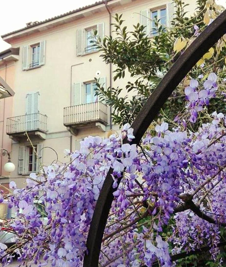 Casa Vacanze Stella Verbania Exterior photo